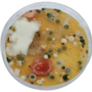 Hygieneinspektionen nach VDI 6022