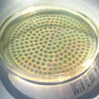 Vorbeugung statt Sanierung